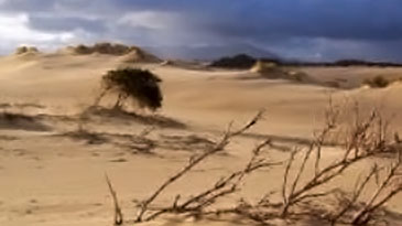 Henty Dunes