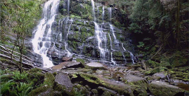 An easy walk to Nelson Falls